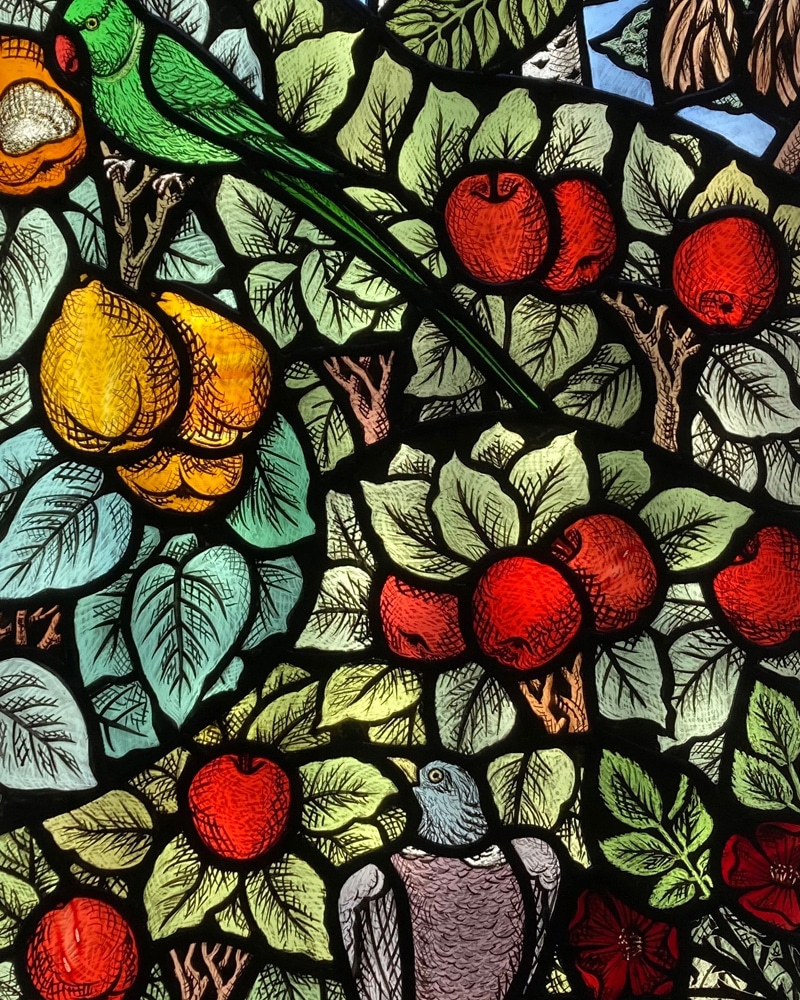 Quince and Parakeets